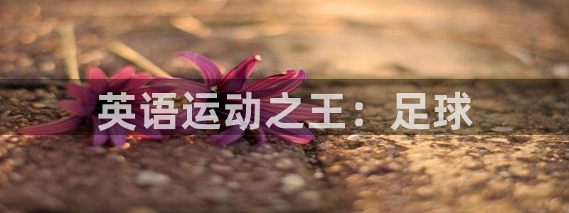 米兰体育官网下载平台假的吗是真的吗吗:英语运动之王:足球