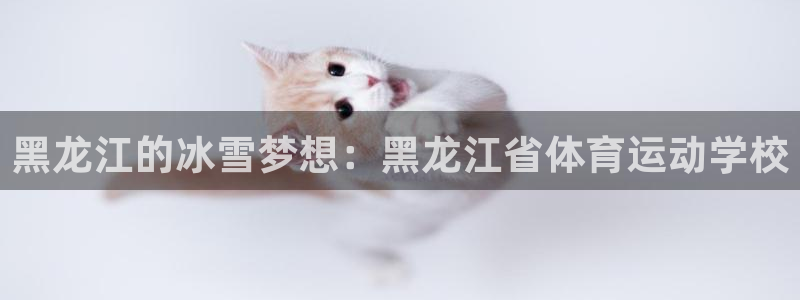 米兰体育官网下载平台:黑龙江的冰雪梦想:黑龙江省体育运动学校