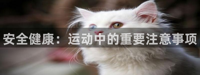 米兰体育官方正版app娱乐平台:安全健康:运动中的重要注意事